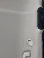Ford Mondeo MK V Headlining DS73-N51916-CW