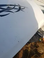 Citroen Jumper Pokrywa przednia / Maska silnika 