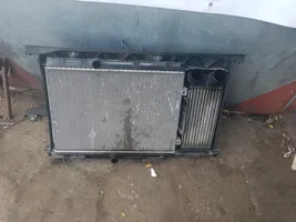 Peugeot RCZ Kit Radiateur 