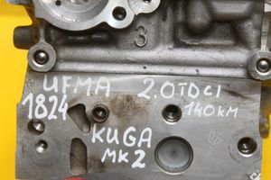 Ford Kuga II Culasse moteur 