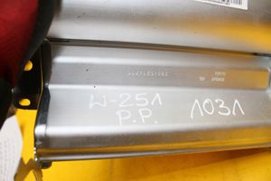 Mercedes-Benz R W251 Airbag del passeggero A2518600805