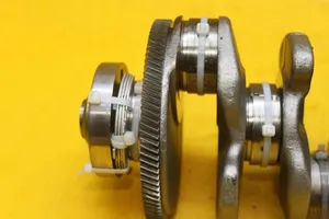 Volkswagen Sharan Crankshaft 04L