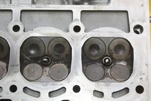Skoda Roomster (5J) Głowica silnika 03C103373