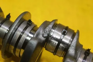 Nissan X-Trail T33 Crankshaft 