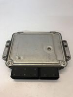 KIA Optima Sterownik / Moduł ECU 391202A302