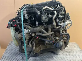 Ford Ranger Moottori SA2W