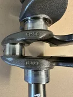 Ford Focus Crankshaft CM5GFB