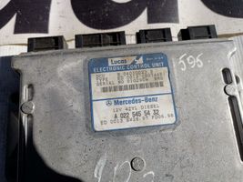 Mercedes-Benz E W210 Sterownik / Moduł ECU A0225455432