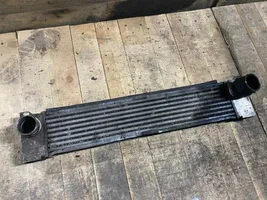 Mercedes-Benz Vito Viano W639 Starpdzesētāja radiators A6395010201