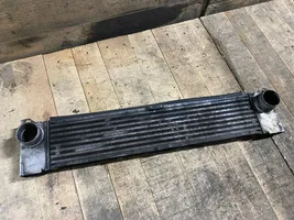 Mercedes-Benz Vito Viano W639 Chłodnica powietrza doładowującego / Intercooler A6395010201