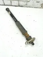 Hyundai i20 (BC3 BI3) Rear shock absorber/damper 55300C8700