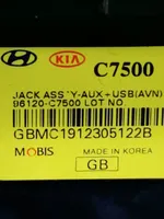 Hyundai i20 (BC3 BI3) Connecteur/prise USB 96120C7500