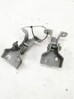 Nissan Primastar Set di cerniere portiera anteriore 66380