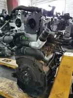 Ford Kuga I Moteur D4204T