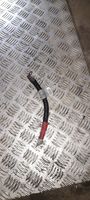 BMW 3 E46 Cables (alternador) 