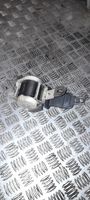 Opel Signum Sicherheitsgurt hinten 