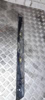 Ford Focus Trunk door license plate light bar 