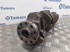 Volvo S60 Crankshaft D5244T