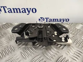 Ford Transit -  Tourneo Connect Fissaggio gancio/anello DT1A16700AC