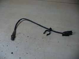 Ford Kuga I Sensore della sonda Lambda 30751545