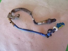 Ford C-MAX II Sonde lambda 3M519G444CB