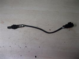 Ford Ka Sonde lambda 55202416