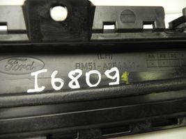 Ford Focus Rear door trim (molding) BM51A254A41