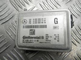 Mercedes-Benz S W222 Kamera galinio vaizdo A2229002911