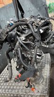 Toyota RAV 4 (XA50) Moteur A25AFXS