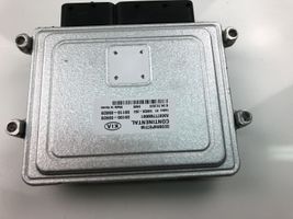 KIA Niro Sterownik / Moduł ECU 391B103455