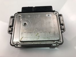 KIA Carens III Engine control unit/module 391202A410