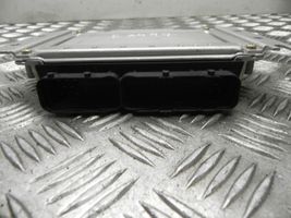 Hyundai Elantra Sterownik / Moduł ECU 3910127010