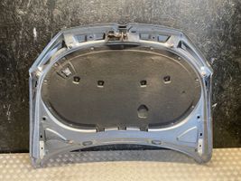 Volkswagen PASSAT B7 Engine bonnet/hood 