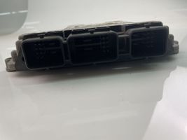 Peugeot 207 Sterownik / Moduł ECU 9661004480