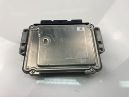 Peugeot 207 Sterownik / Moduł ECU 9661004480