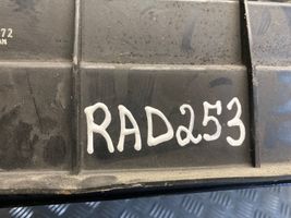 Toyota RAV 4 (XA30) Dzesēšanas šķidruma radiators 4227501372