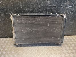 Toyota RAV 4 (XA30) Dzesēšanas šķidruma radiators 4227501372