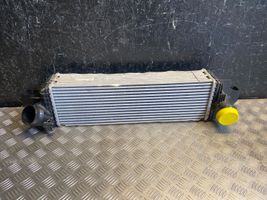 BMW X1 F48 F49 Intercooler radiator 761760005