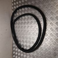 Volvo XC60 Front door rubber seal 636