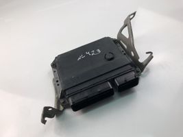 Toyota Auris 150 Sterownik / Moduł ECU 8966102D82