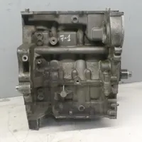 Seat Ibiza IV (6J,6P) Engine block CGP