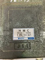 Hyundai Elantra Calculateur moteur ECU 3911033453