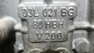 Audi A6 S6 C6 4F Blokas 03L021BG