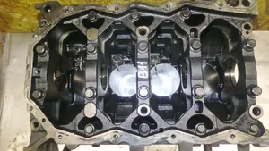 Hyundai Santa Fe Engine block D4EA