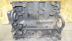 Hyundai Santa Fe Engine block D4EA