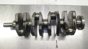 Ford S-MAX Crankshaft 641BMC