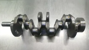 Mercedes-Benz Sprinter W906 Crankshaft DE22