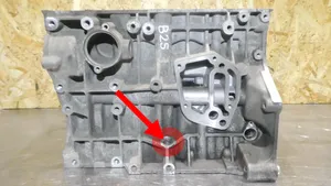 Volkswagen New Beetle Engine block BFS