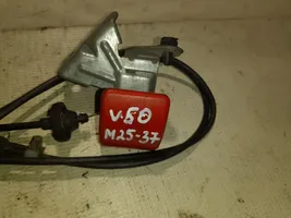Volvo V50 Amortiguador/puntal del maletero/compartimento de carga 