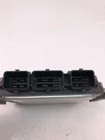 Renault Megane II Sterownik / Moduł ECU 8200391966